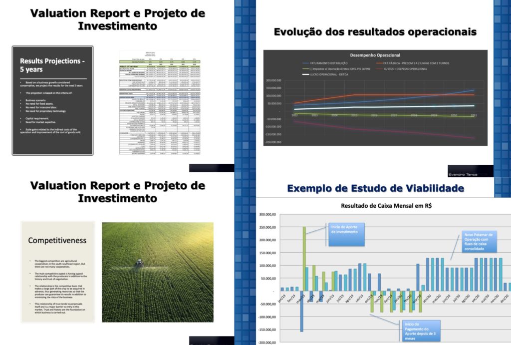 Business Plan Projeto de Investimento